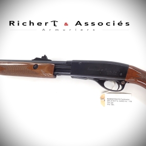 Carabine Remington mod. 572 Fieldmaster