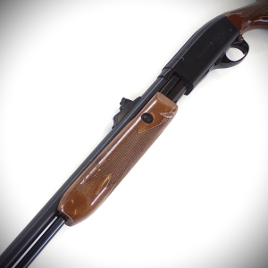 Carabine Remington mod. 572 Fieldmaster