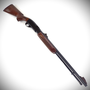 Carabine Remington mod. 572 Fieldmaster