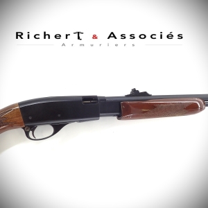 Carabine Remington mod. 572 Fieldmaster