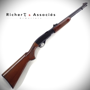 Carabine Remington mod. 572 Fieldmaster