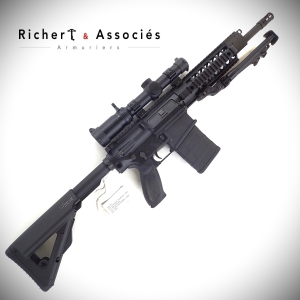 Fusil Sig-Sauer mod. 716