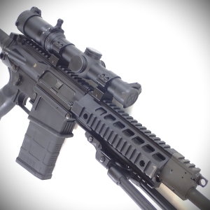 Fusil Sig-Sauer mod. 716
