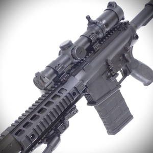 Fusil Sig-Sauer mod. 716