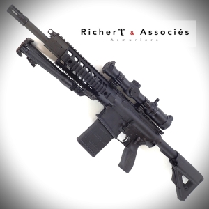 Fusil Sig-Sauer mod. 716