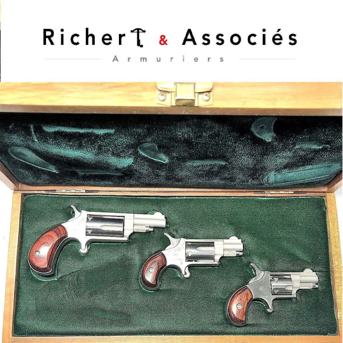 Coffret NAA Mini 22 revolvers